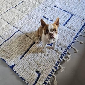 Moroccan Beni Ourain Rug in Ivory with Blue Linear Stripes – Handmade Berber Wool Area Rug - Image 6