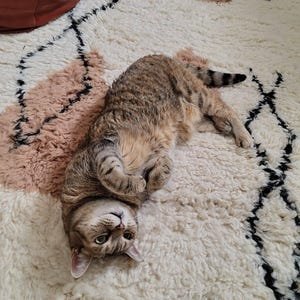 Beni Ourain Moroccan Wool Rug – Handmade Ivory Berber Area Rug with Black Tribal Diamonds - Image 2